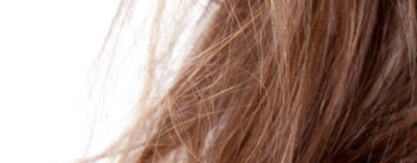 Privoščite si skodelico zeliščnega čaja!